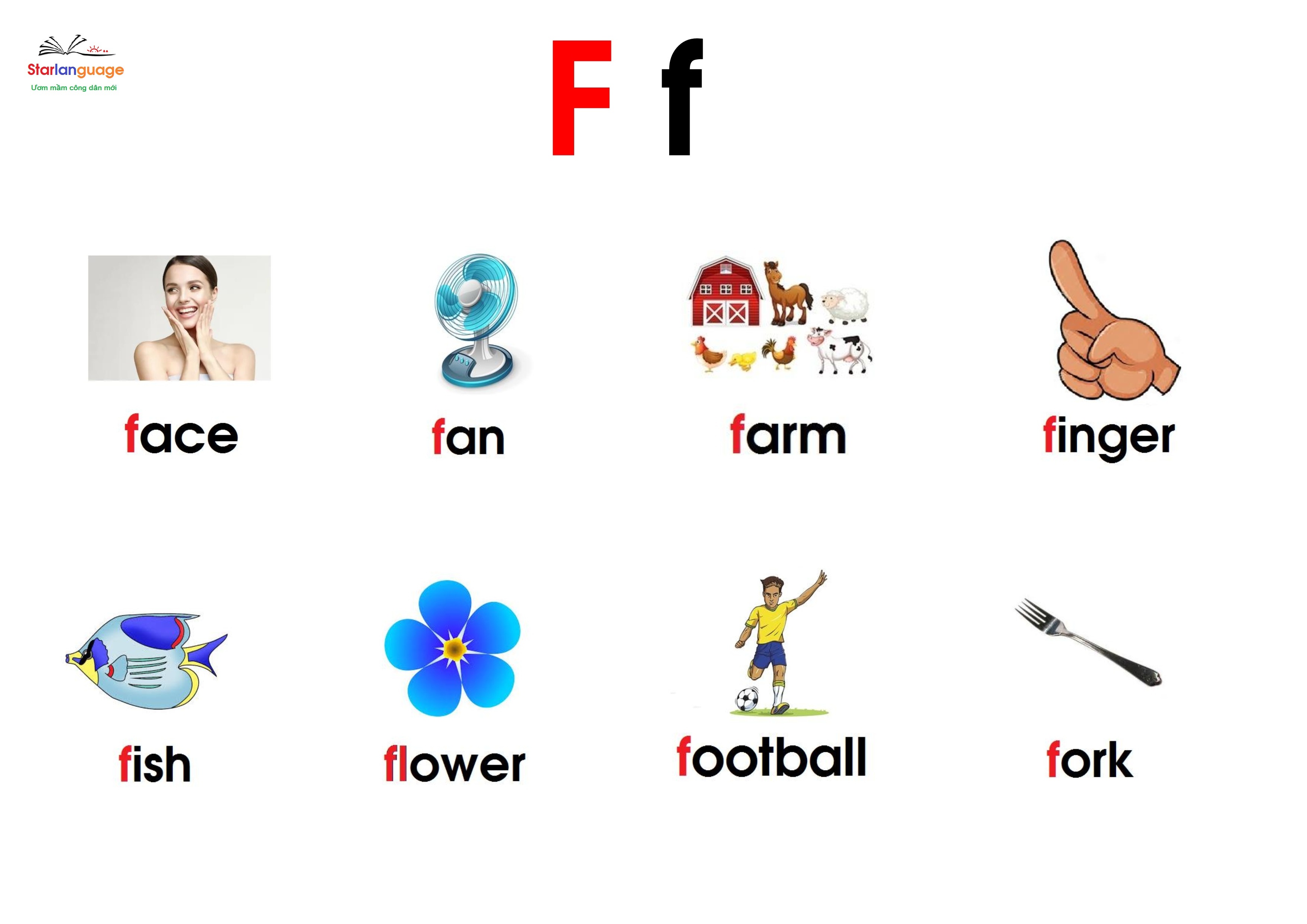 Optional letter F