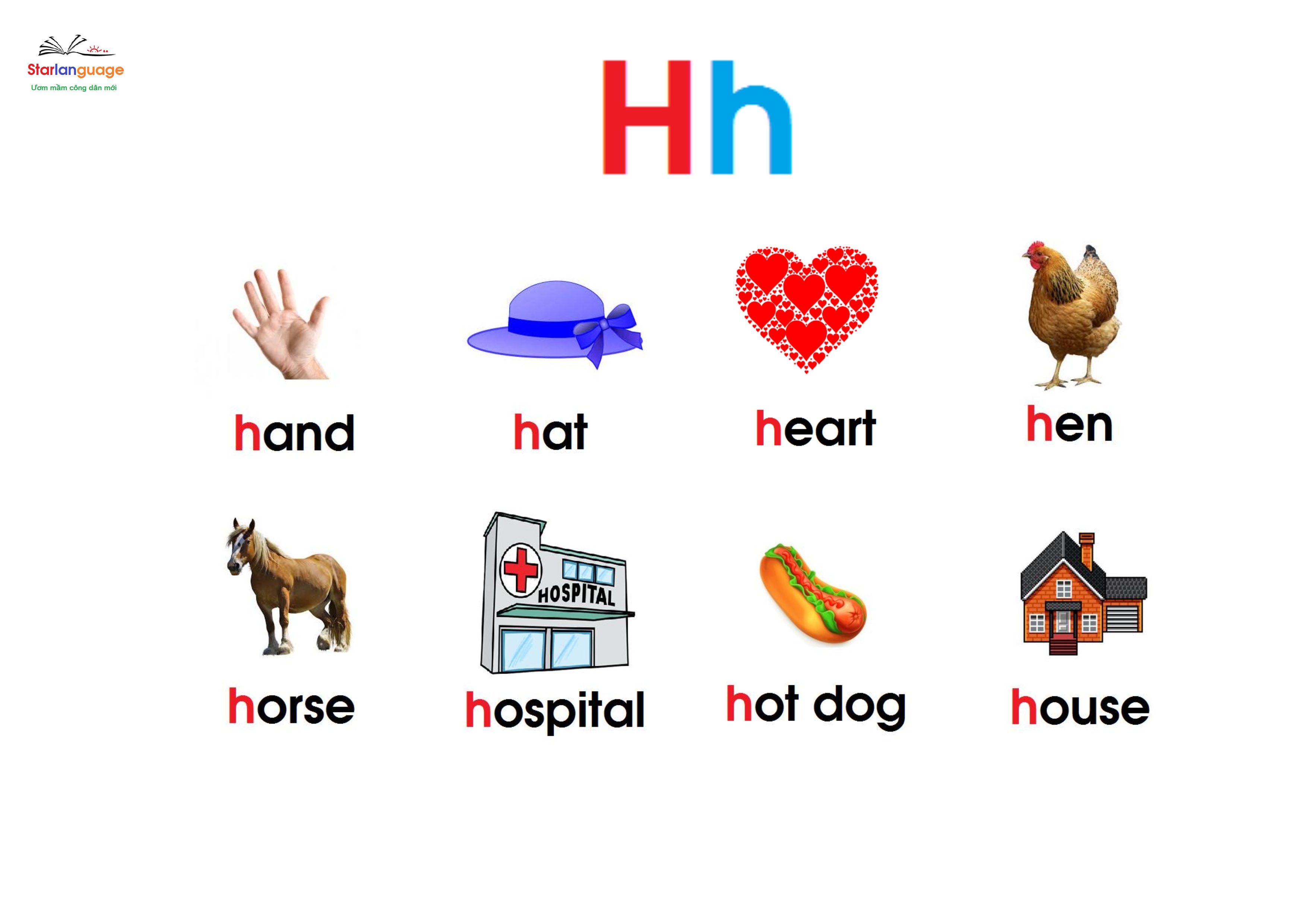 Optional letter H