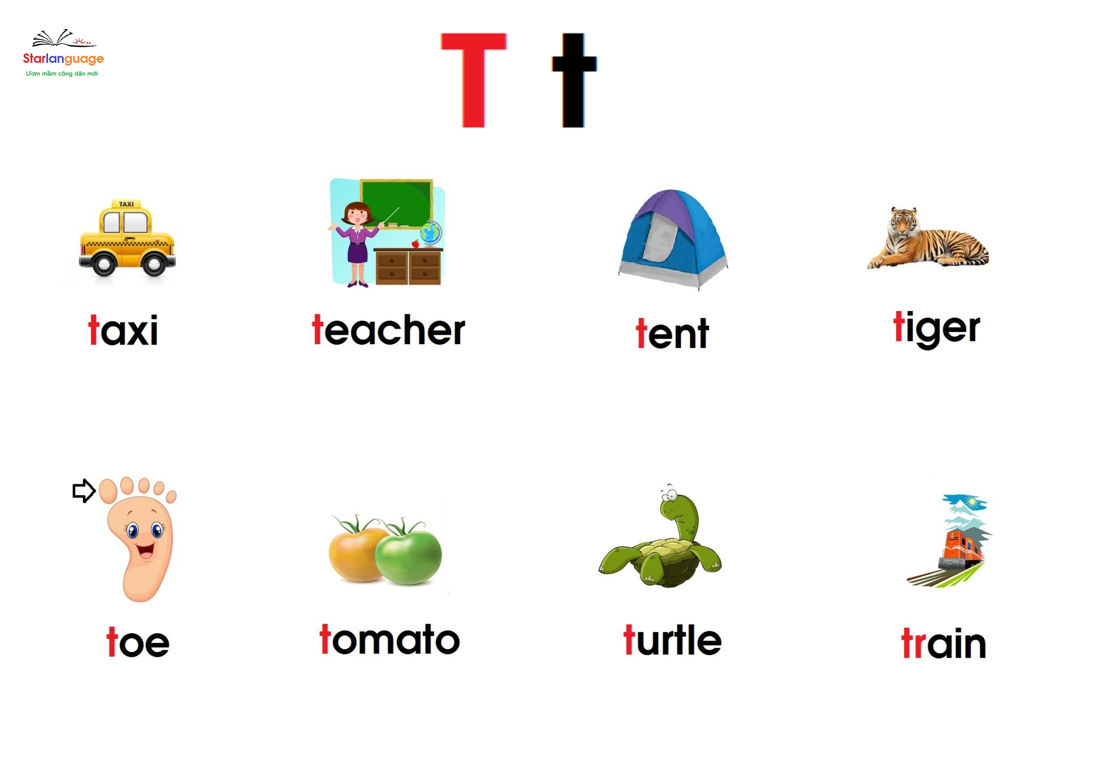 Optional letter T