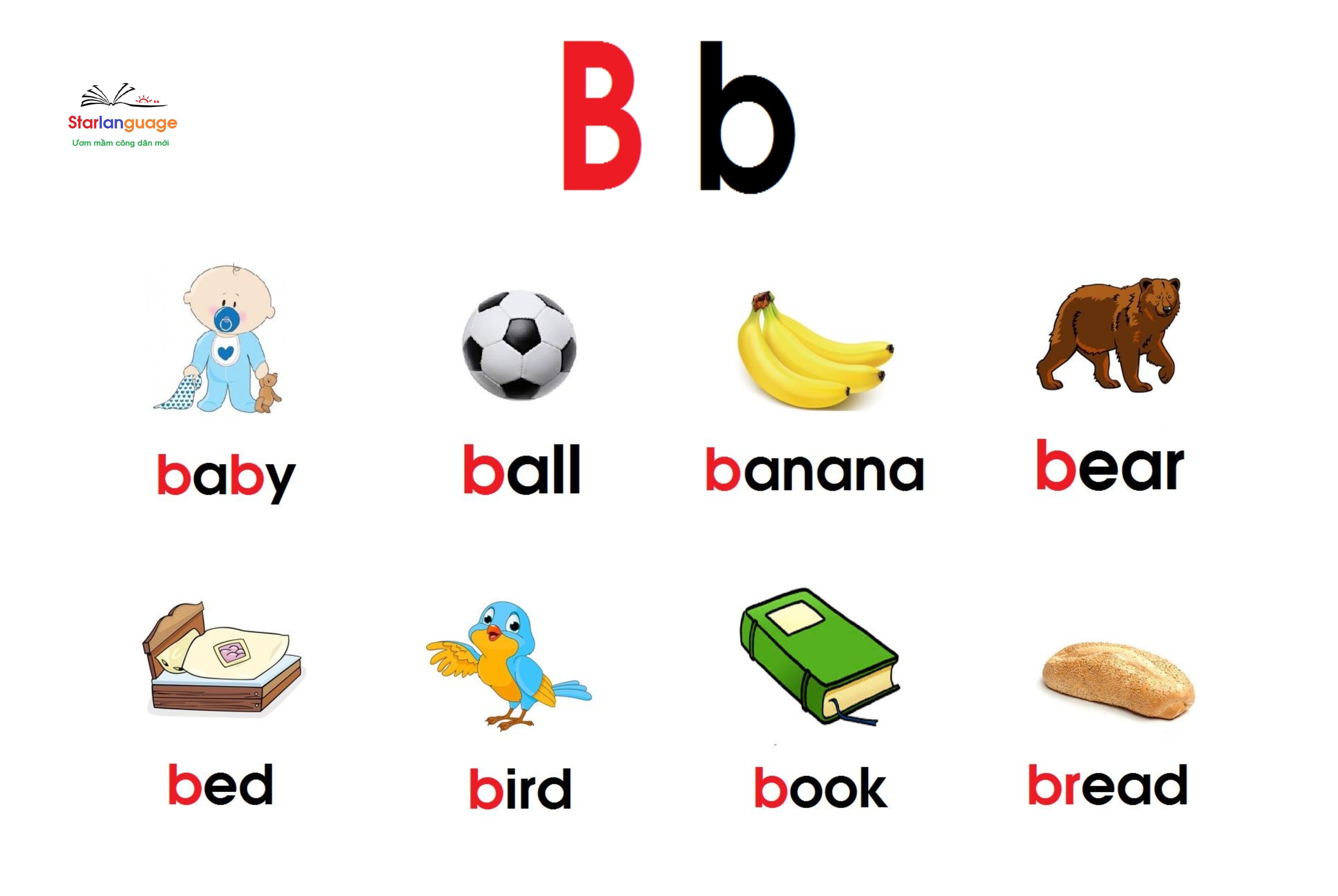 Optional letter B