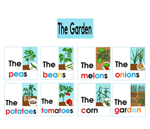 Book : The garden