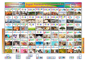 Gant phonics 12C6