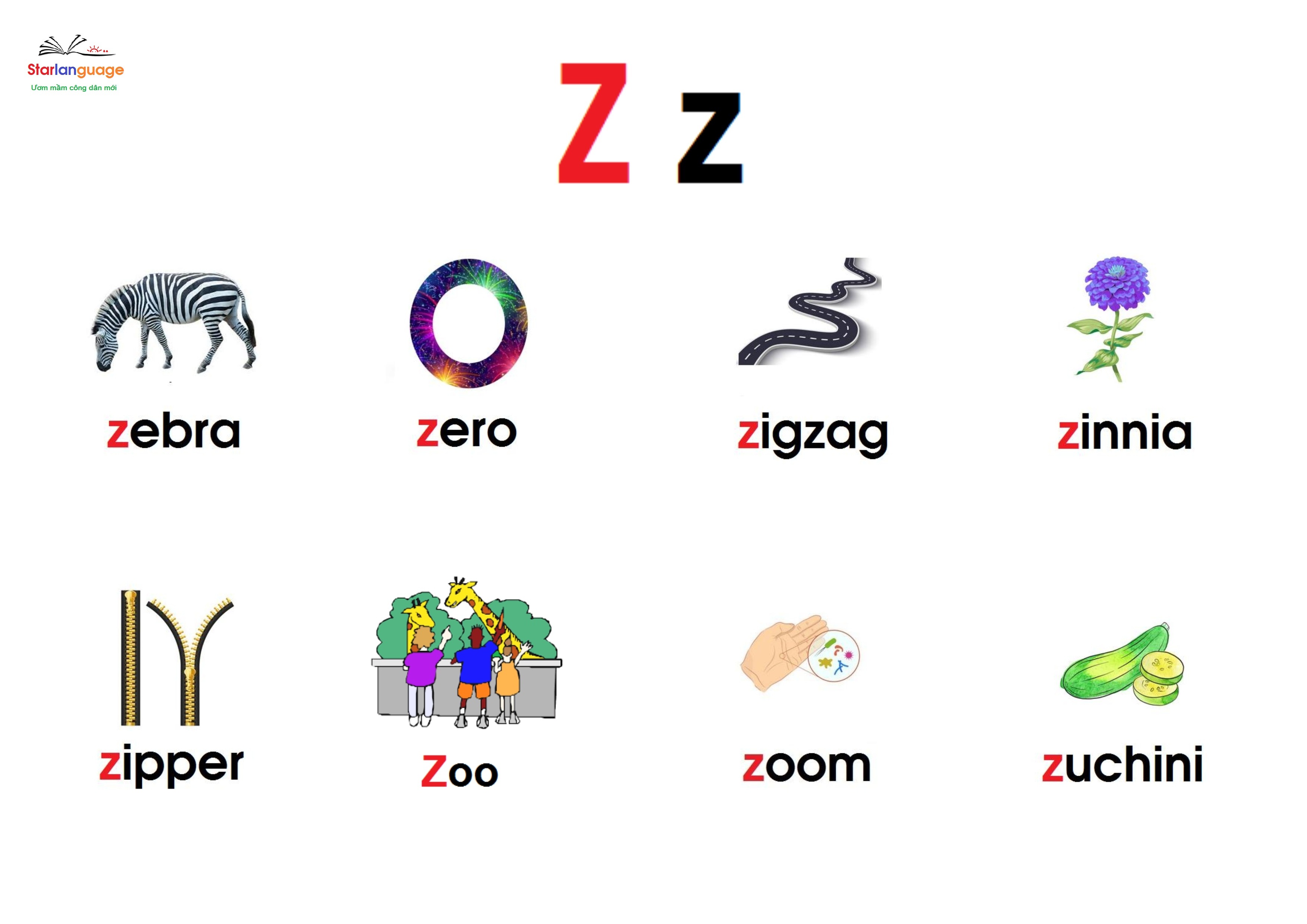 Optional letter Z