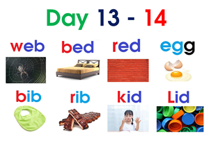 Read day 13- 14 ( flash card 8 page A4 - picture )