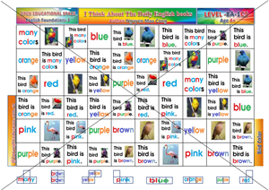 birdcolor_8level-C5