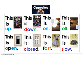 A8- Print A3 - Opposites